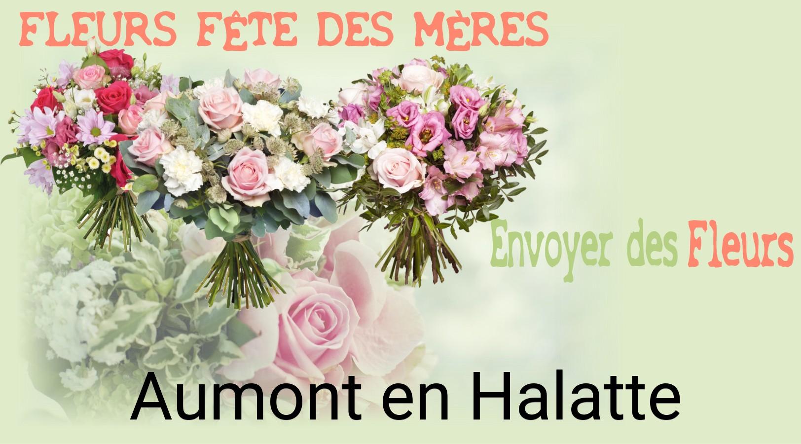 Bouquet de Fête des Mères livré à Aumont-en-Halatte